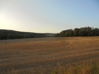 Prodej pozemku v lokalitě Němčice, okres Blansko | Realitní kancelář Blansko