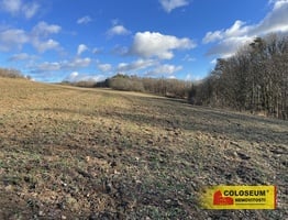 Blansko - Těchov, travní porost 2458 m2, investice - pozemek - Pozemky Blansko