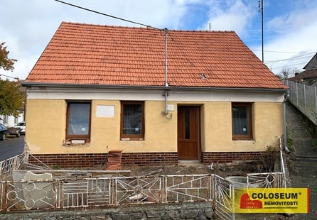 Prodej domu v lokalitě Dolní Dubňany, okres Znojmo | Realitní kancelář Brno