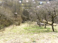 Prodej pozemku v lokalitě Olomučany, okres Blansko | Realitní kancelář Blansko