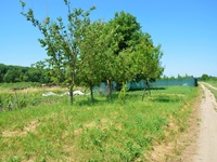 Prodej pozemku v lokalitě Bzenec, okres Hodonín | Realitní kancelář Břeclav