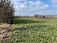 Prodej pozemku v lokalitě Šaratice, okres Vyškov | Realitní kancelář Vyškov