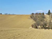Prodej pozemku v lokalitě Brno, okres Brno | Realitní kancelář Blansko