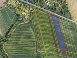 Svinošice - zemědělská půda  8 984 m²  - pozemek - Pozemky Blansko