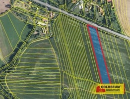 Svinošice - zemědělská půda  8 984 m²  - pozemek - Pozemky Blansko