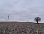Svinošice - zemědělská půda, 5 226 m² - pozemek - Pozemky Blansko