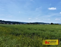 Letovice - zemědělská půda  7 225 m² - pozemek - Pozemky Blansko