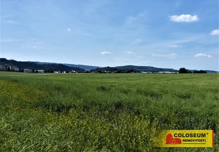 Letovice - zemědělská půda  7 225 m² - pozemek