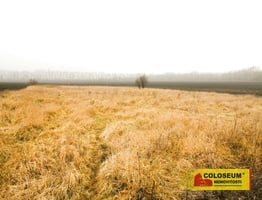 Dyjákovice, ostatní plocha, skladování, 2840 m2 – pozemek - Pozemky Znojmo