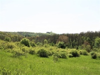 Prodej pozemku v lokalitě Dolní Kounice, okres Brno-venkov | Realitní kancelář Brno