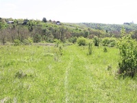Prodej pozemku v lokalitě Dolní Kounice, okres Brno-venkov | Realitní kancelář Brno