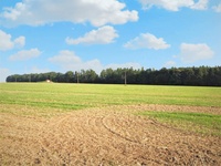 Prodej pozemku v lokalitě Vysoké Popovice, okres Brno-venkov | Realitní kancelář Brno