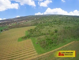 Znojmo – Oblekovice, vinice, trvalý travní porost, lesní pozemek, 16 843 m2 – pozemek - Pozemky Znojmo