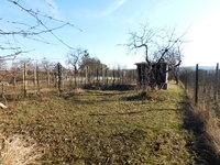 Pronájem pozemku v lokalitě Dobšice, okres Znojmo | Realitní kancelář Znojmo