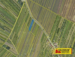 Šakvice, pozemek pro výstavbu RD, 1 500 m² - pozemek - Pozemky Břeclav