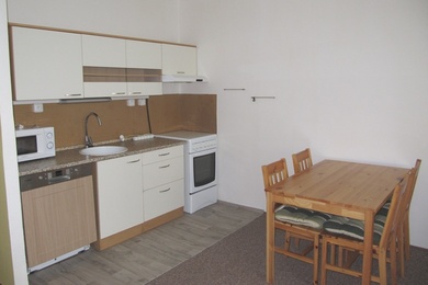 Pronájem bytu 1+kk, v revitalizovaném domě na ul. Bořetická, Brno - Vinohrady, Ev.č.: DR2B 10199R