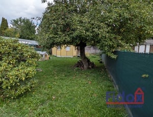 Prodej zahrady s chatou - zahrádkářská oblast Přeštice