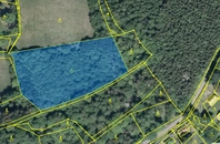 Prodej, Pozemky - trvalý travní porost,  7.125 m² - Bystré