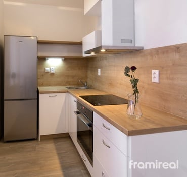 Pronájem ateliéru 1+kk, 46 m² - Brno - Židenice