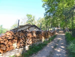 Jedinečný stavební pozemek 1366m2 s  s chatou, projektem a vlastním lesem 10441m2 v obci Babice u Řehenic na hranici Prahy - východ