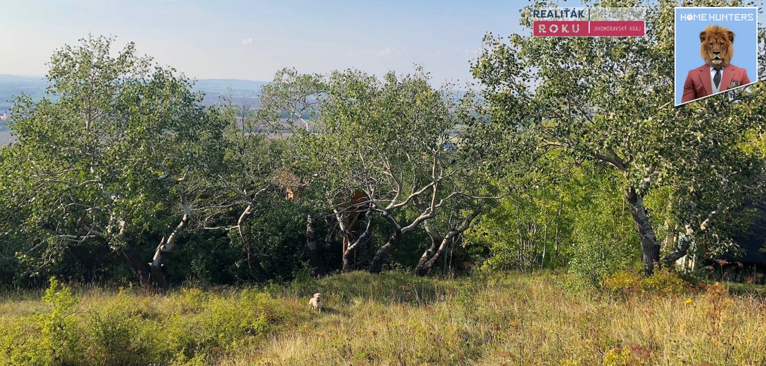 louka nad treehousem 4