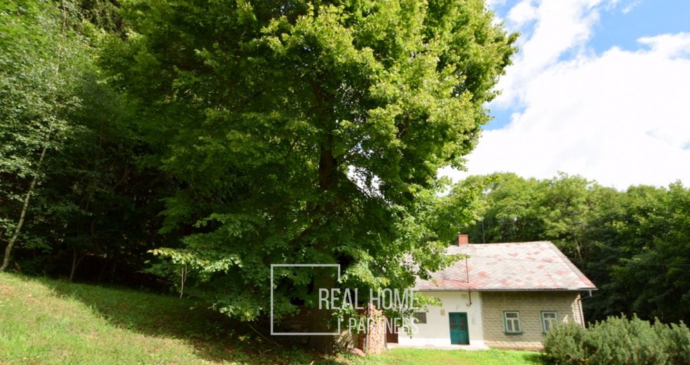 Prodej dům k bydlení 370 m2, 2095 m2 zahrada, Dolní Morava