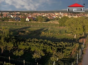 Prodej, Pozemky, Zahrady a sady, 350 m², Vranovice nad Svratkou