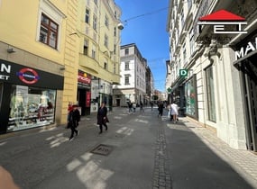Pronájem, Obchodní prostory,  256m² - Brno-město