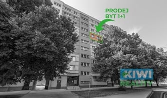 Prodej, byt 1+1, Ostrava-Hrabůvka, ul. Horní