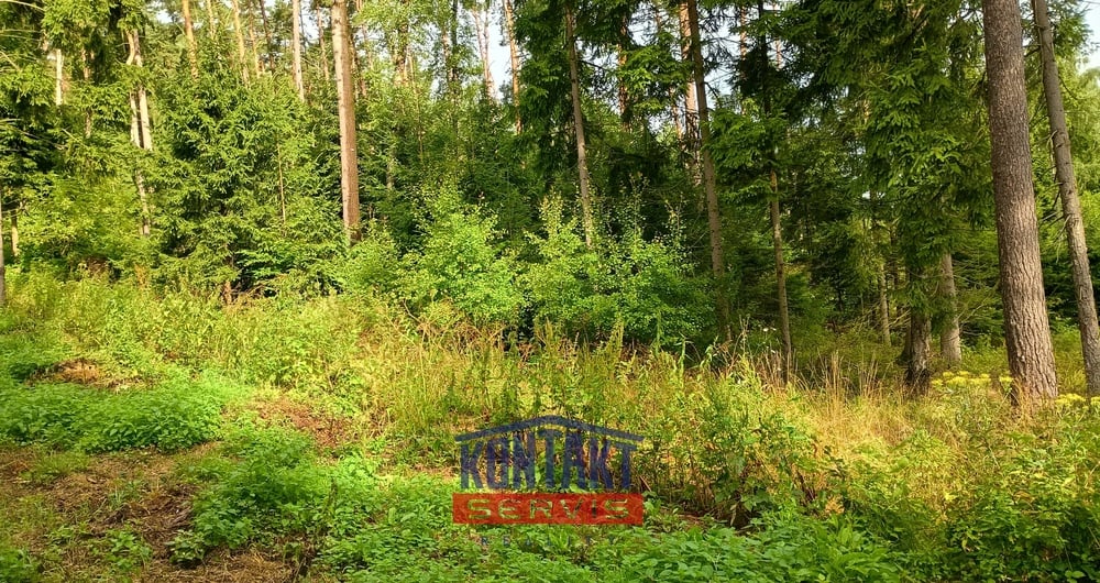 Prodej lesa 2 562 m², Bušanovice