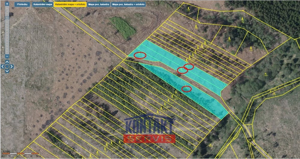 Lesní pozemky u Dlouhé Brtnice