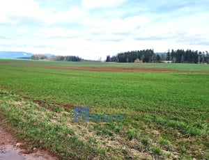 Prodej převážně zemědělských pozemků o celkové výměře cca 9 ha v obci Čermná, katastrální území Čermná v Krkonoších.