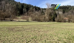 Všelibice - Benešovice, prodej dvou travnatých pozemků o celkové výměře 12 219 m²