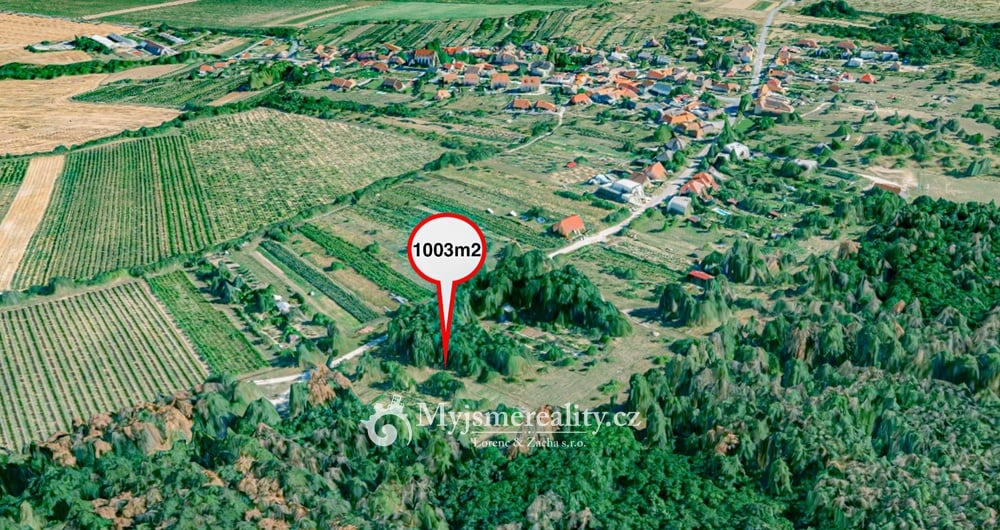 Prodej, Pozemku v obci Konice u Znojma, 1003 m²