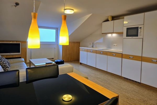 Zařízený, horský apartmán v malebném prostředí Šumavy v Bavorské Rudě o dispozici 2+kk a velikosti 45 m2 a dvěma garážemi