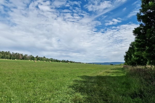 Prodej pozemků, orná půda a trvalý travní porost nedaleko Hořovic o celkové výměře 15.147 m2