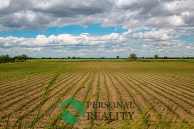 Prodej zemědělské půdy 32 894 m² - Seč, Ev.č.: 01281