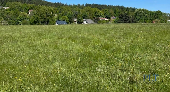IMG-20250513-WA0075
