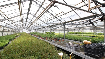 Pronájem pole 3 000 m², Brno-jih