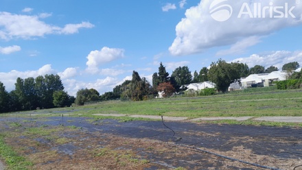 Pronájem pole 3 000 m², Brno-jih