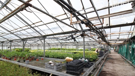 Pronájem pole 3 000 m², Brno-jih