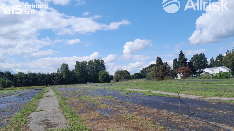 Pronájem pole 3 000 m², Brno-jih