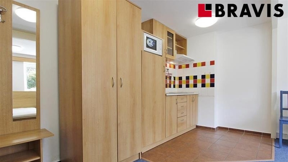 Pronájem byty 1+kk, 23 m² - Brno - Židenice