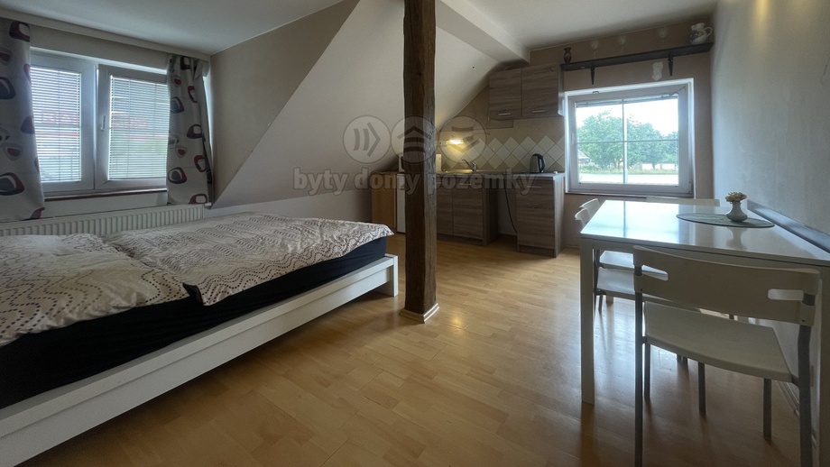 Pronájem byty 2+kk, 45 m² - České Budějovice 2