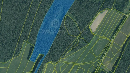 Prodej lesa 22 334 m², Suchdol nad Lužnicí