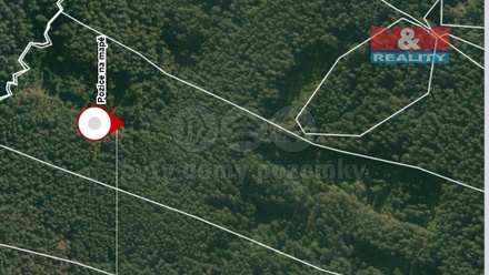 Prodej lesa 22 334 m², Suchdol nad Lužnicí