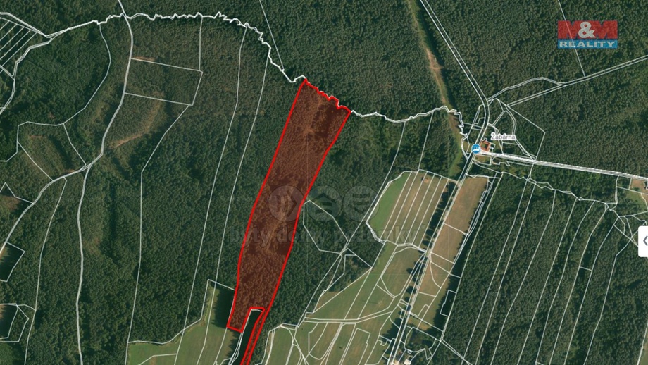 Prodej lesy, 22 334 m² - Suchdol nad Lužnicí - Klikov