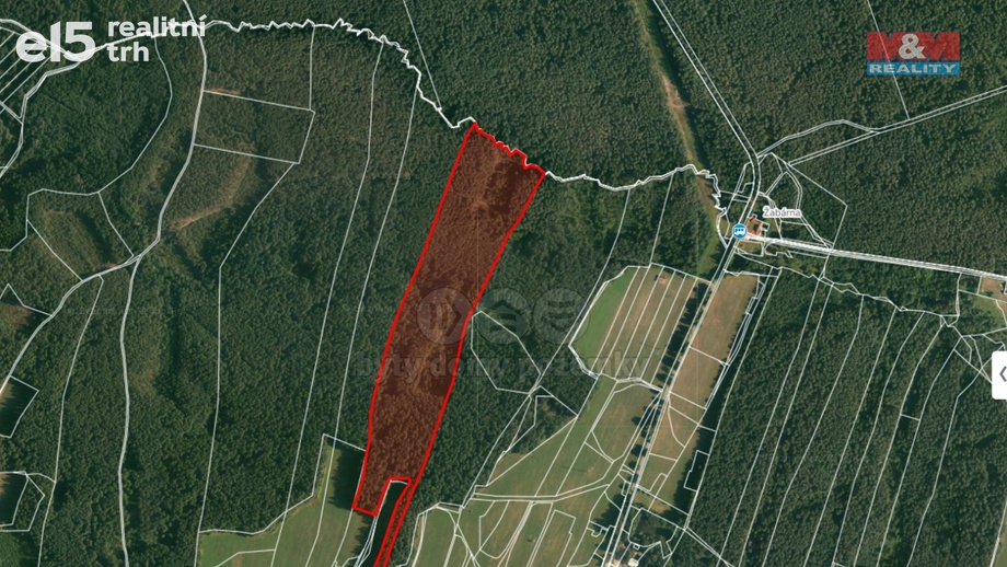 Prodej lesa 22 334 m², Suchdol nad Lužnicí