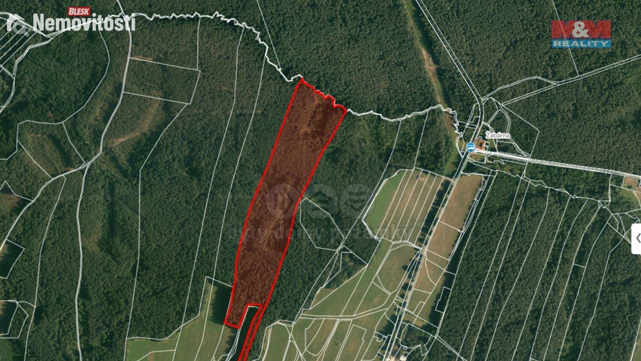 Prodej lesa 22 334 m², Suchdol nad Lužnicí