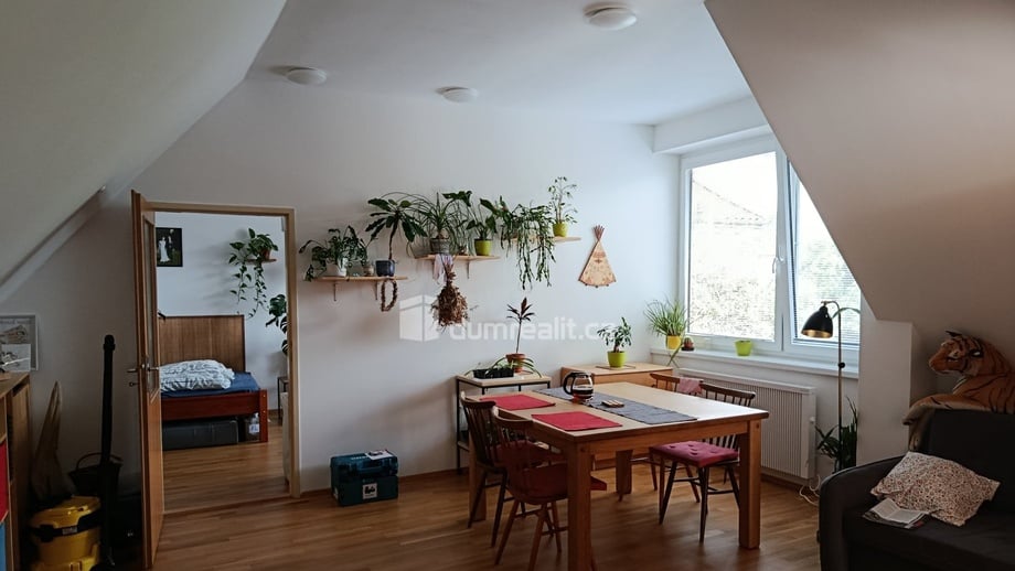 Pronájem byty 2+kk, 50 m² - Praha - Smíchov